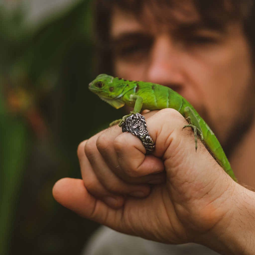 Dragon Labradorite Ring by BlackTreeLab
