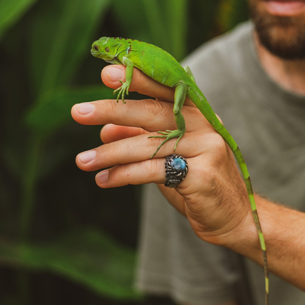 Labradorite  Statement ring "Dragon"
