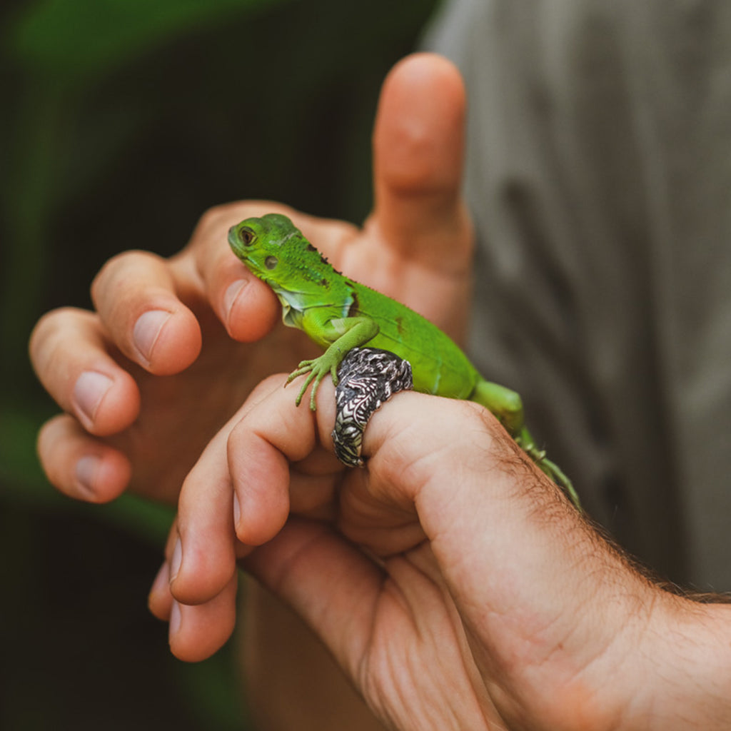 Men's Labradorite "Dragon" ring by BlackTreeLab